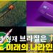 브라질은 아직도 미래의 나라? 2021년 현재, 브라질 전문가의 시각으로 쏵 파헤쳐보자~