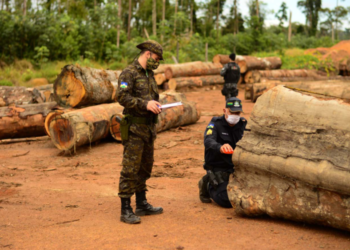 브라질, 아마존숲 불법 벌채 단속위해 군대 파견