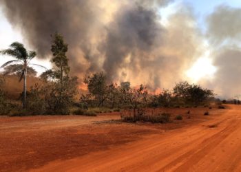 삼 일째 불길이 이어지고 있는 주케리 주립 생태공원….”공원 80% 파괴”