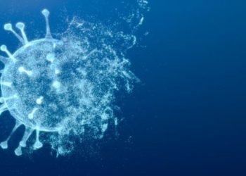 오미크론, 남미에도 상륙…남아공 여행 브라질 부부 감염 확인