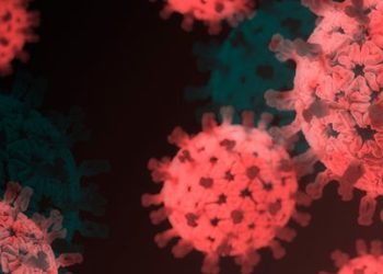 브라질, 오미크론 변이종 확진자 3명 째 발견