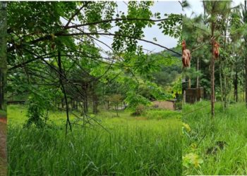 브라질한인회, 모지유원지 일부 매각금 받고도 매각 발표 왜 늦어지나