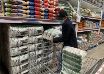 한인회, 우리동포돕기운동 최종 9명 선정…6개월 간 식료품 및 생필품 상자 전달