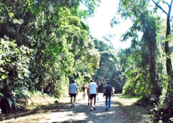 민주평통 브라질협의회, ‘한반도 평화통일 기원 산악 걷기대회’ 11월19일 개최