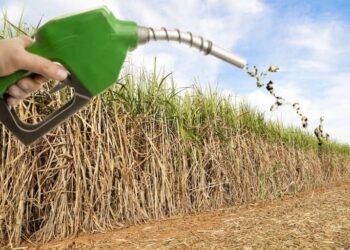 에너지 위기 유럽, 저렴한 브라질산 에탄올 수입 4배 늘려