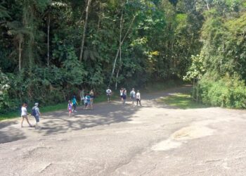 `한반도 평화통일 기원 산악걷기 대회` 참가자 대상 민주평통 브라질협의회 안내문