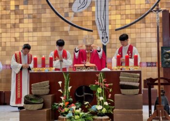 브라질 성 김대건 순례지 한인성당에서 유흥식 라자로 추기경 서임 축하 미사 거행…