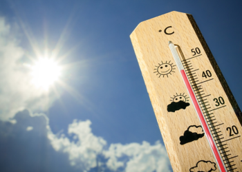 브라질, 기록적인 폭염으로 몸살