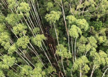 12일 만에 발견된 실종 헬기, 탑승자 생존 여부 여전히 불투명