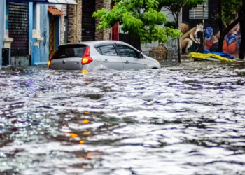 상파울루, 재난 대응 예산 미활용으로 폭우 피해 심각..