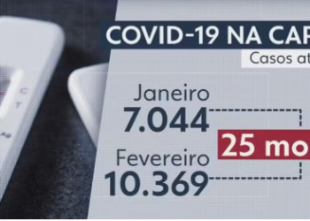 상파울루 시, 코로나19 사망자가 급증하며 뎅기열 사망자를 넘어서