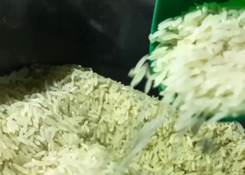 쌀 수입 속에서 드러나는 브라질 정부와 사법부의 갈등..