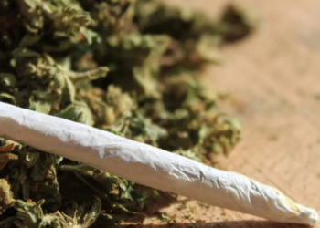 브라질 대법원, 대마초 개인 소지 비범죄화 결정