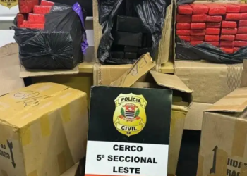 상파울루, 올해 상반기 마약 밀매범 3,100명 체포