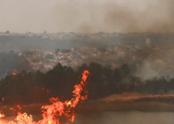 극심한 가뭄이 부른 산불, 상파울루 주에 10억 헤알 손실 예상