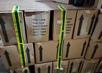 위조 와인 공장 적발! 브라질 당국, 비위생적 환경에서 생산된 800상자 회수