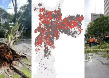 에넬, 상파울루 시 전역에서 나무 가지치기 작업 미비로 비난 받아