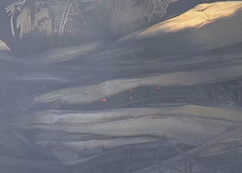 15시간 만에 진압된 상파울루 쇼핑몰 화재, 안전 관리 부실 논란