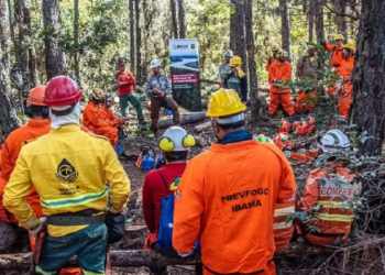 트럼프 대통령, 대외 원조 중단 명령 발표…브라질 산불 진압 협력 프로그램 중단
