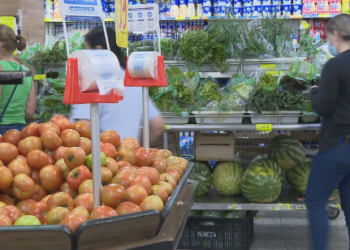 브라질 경제, 성장 속 민생은 ‘싸늘’… GDP 성장에도 국민 체감 물가는 ‘고공행진’