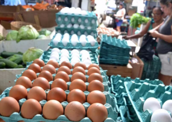 사순절 수요에 브라질 계란 시장 ‘들썩’…1인당 소비량도 사상 최고
