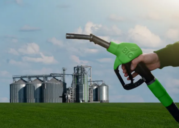 Equus Capital 진단..브라질 바이오 연료, 2025년 난관과 기회 공존