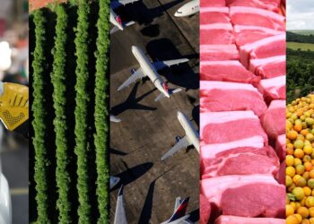 美 행정명령, 브라질 주력 수출품엔 ‘폭탄’ 전략 품목은 ‘예외’