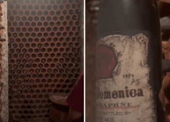 50년 넘은 주택 수리하다 ‘와인 로또’…벽 속 숨겨진 저장고 발견