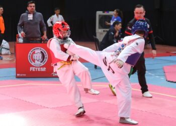 브라질 태권도 55주년, 1천명의 열정으로 빛나다… “새로운 역사의 장을 열다”