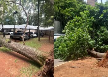브라질 상파울루 덮친 강풍…200만 가구 정전·항공편 무더기 결항