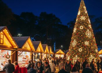 “연말엔 예술 산책”…셀레티보 아트, 상파울루 힐링 명소 공개
