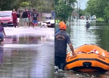 상파울루 해안 전역 ‘적색경보’ 연장…폭우 누적 사망자 19명으로 늘어